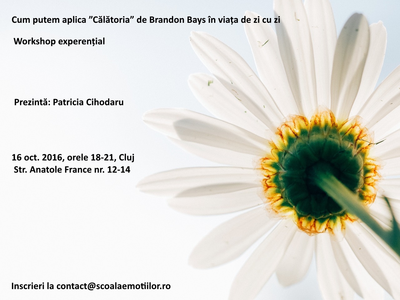 Cum putem aplica metoda "Călătoria" în viața de zi cu zi Cluj