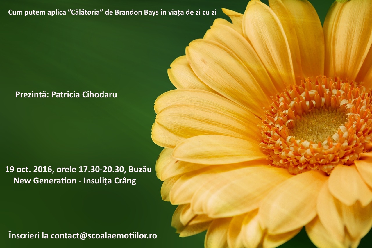 Cum putem aplica metoda "Călătoria" în viața de zi cu zi Buzau